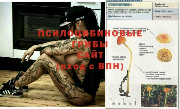мдпв Корсаков