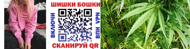 Марихуана MAZAR  Купить где  Новокубанск 
